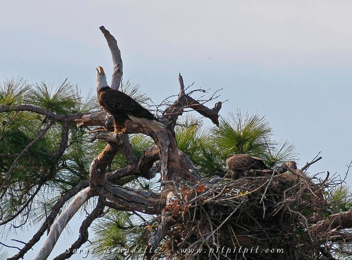 2009-01-04 14-04-42__MG_9774.JPG